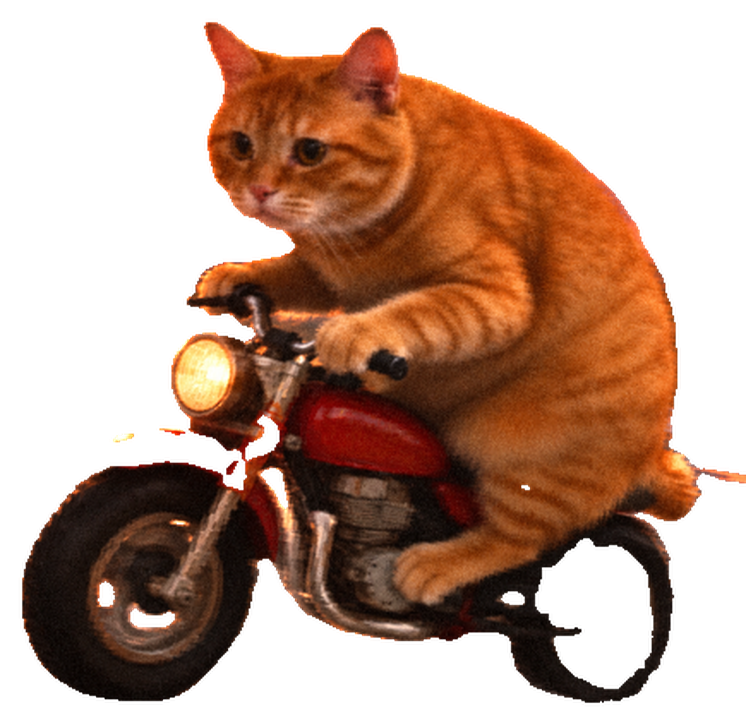 Vroom Cat, an orange tabby, riding a small red motorbike